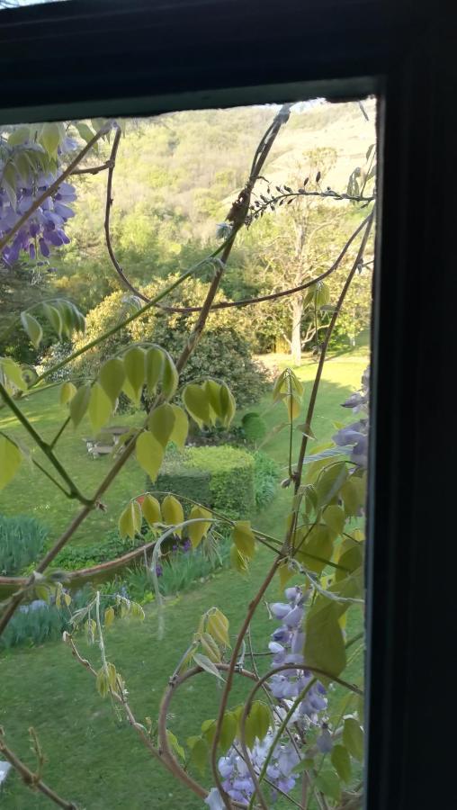 Les Palmiers Bed & Breakfast Mauves Bagian luar foto