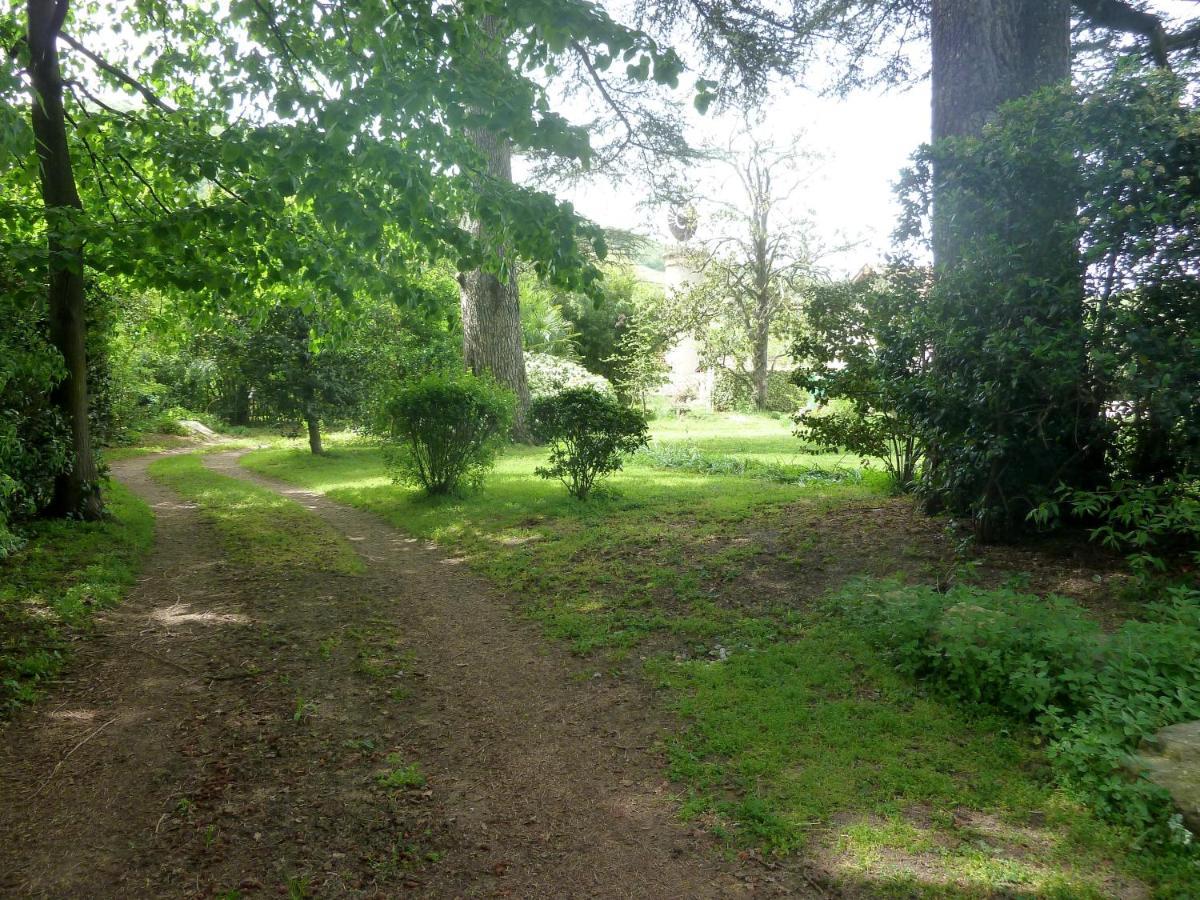 Les Palmiers Bed & Breakfast Mauves Bagian luar foto
