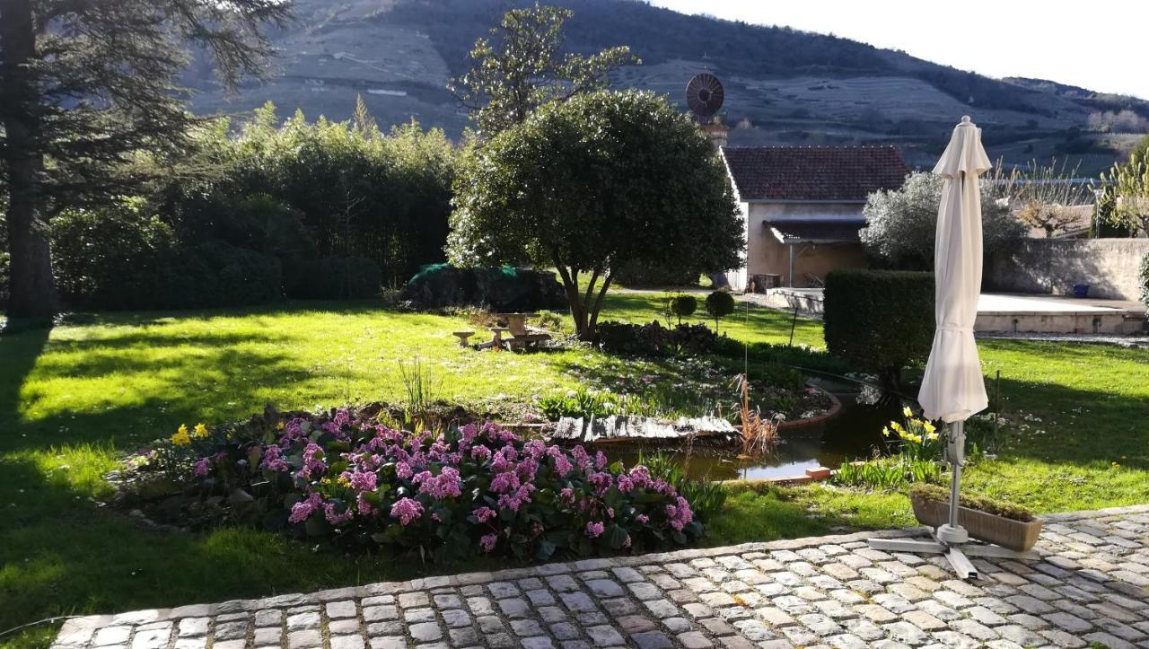 Les Palmiers Bed & Breakfast Mauves Bagian luar foto